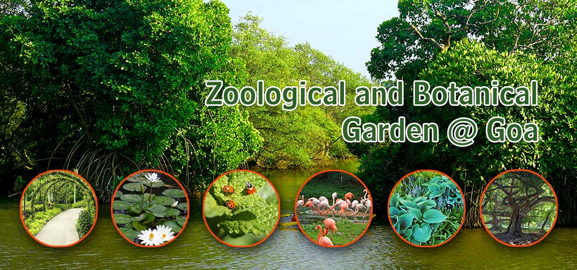 zoological botanical garden